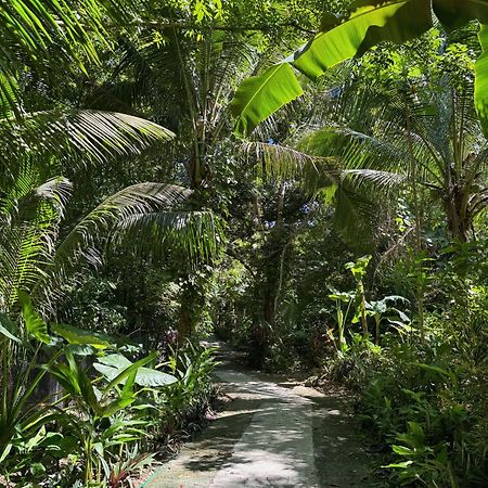 Jungle Kingdomes Guest House Siquijor Eksteriør billede