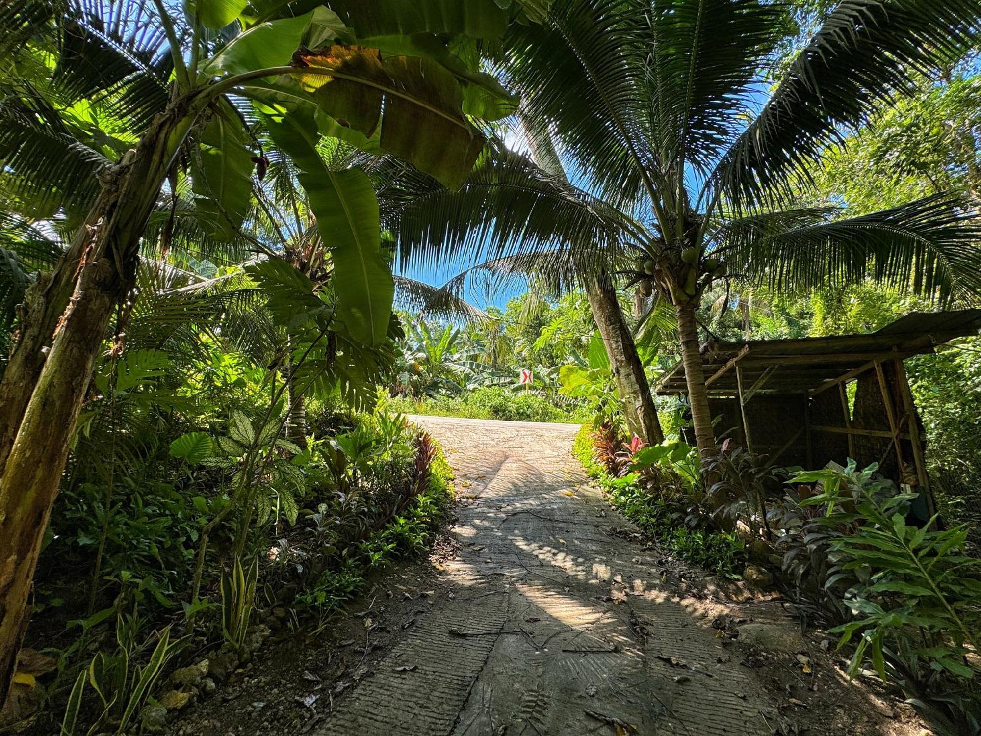 Jungle Kingdomes Guest House Siquijor Eksteriør billede