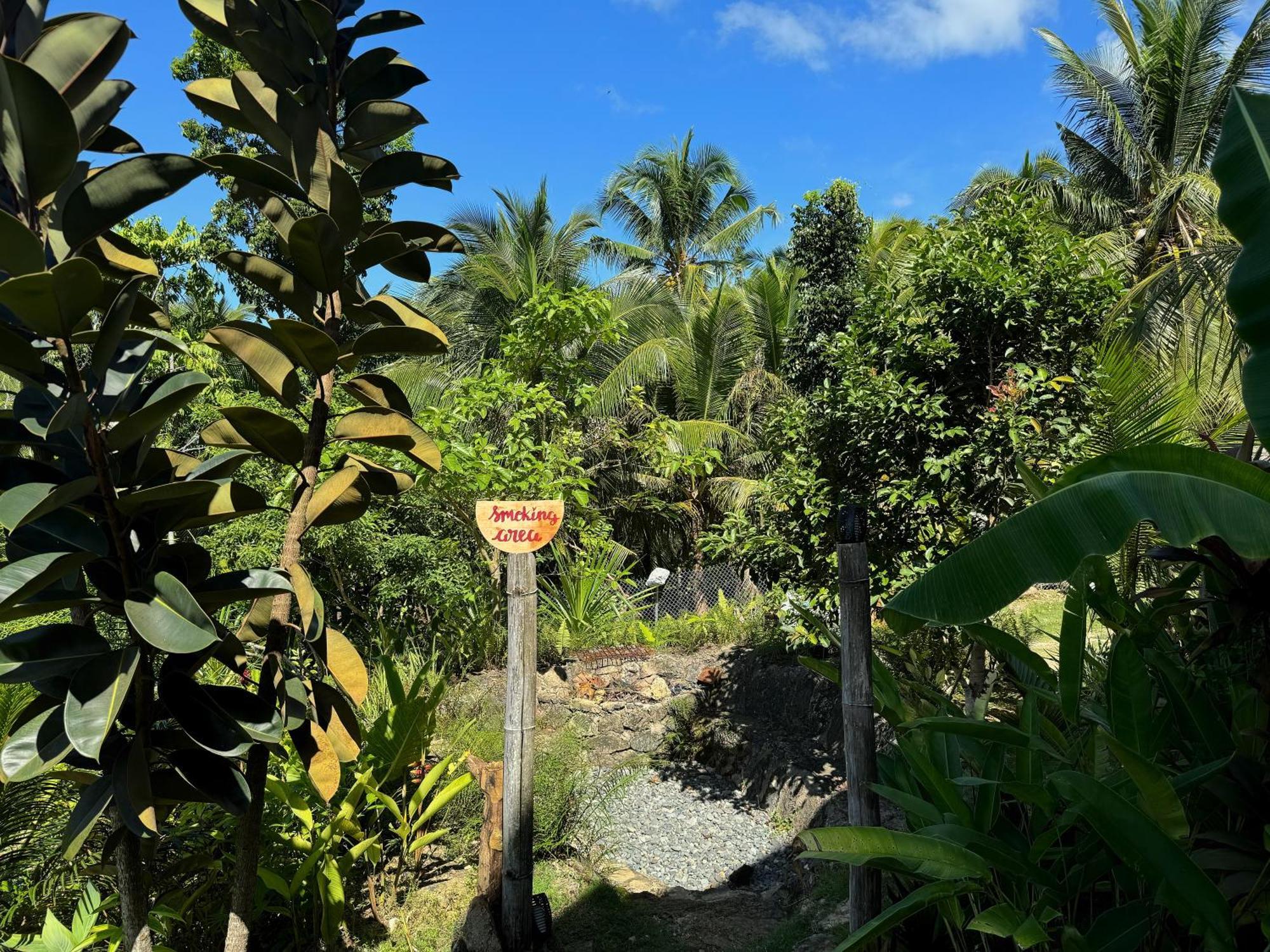 Jungle Kingdomes Guest House Siquijor Eksteriør billede