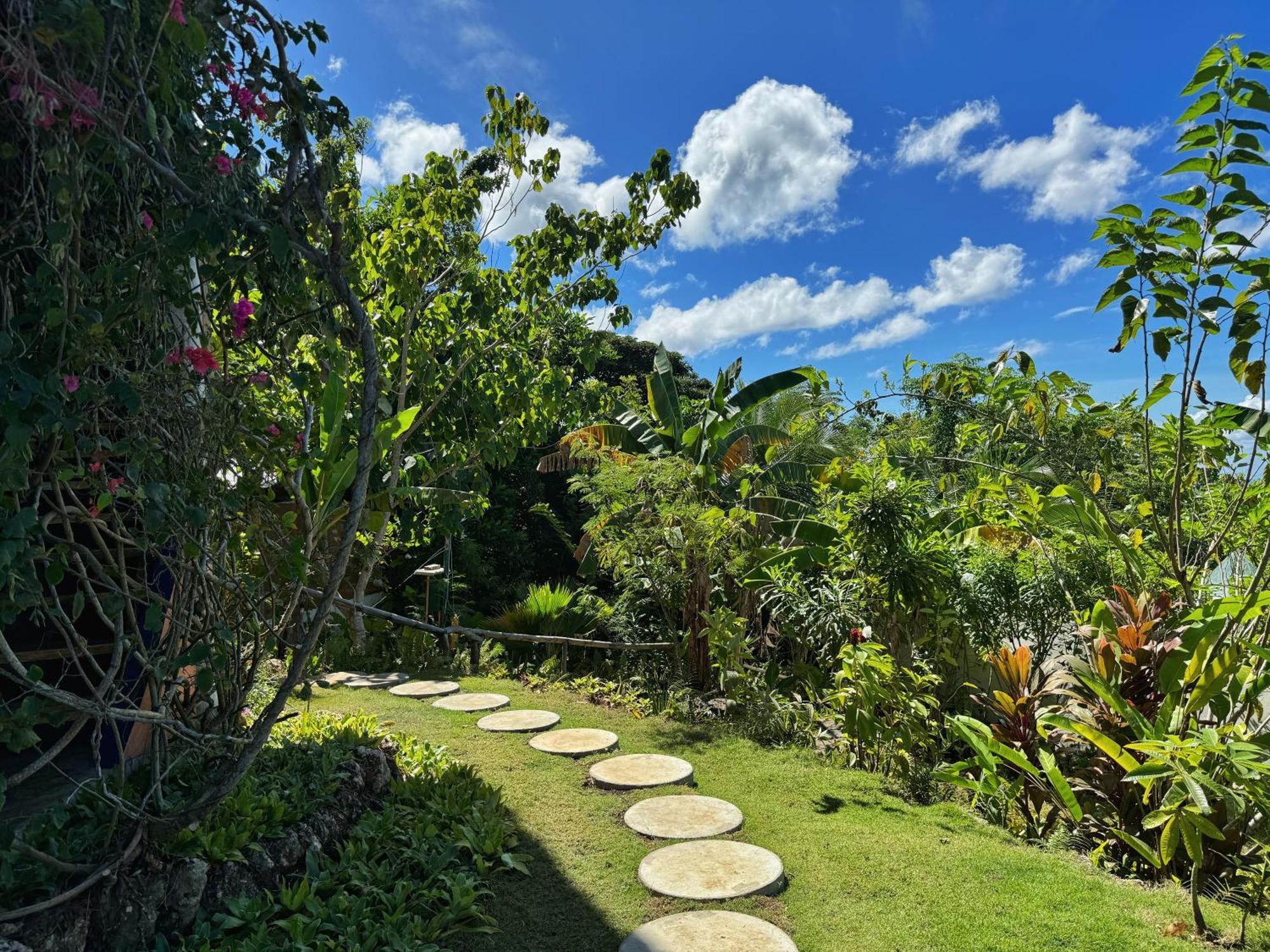 Jungle Kingdomes Guest House Siquijor Eksteriør billede